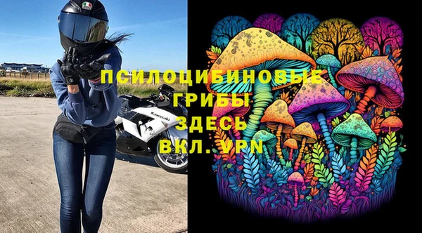 молекула духа Балахна