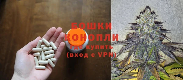 молекула духа Балахна