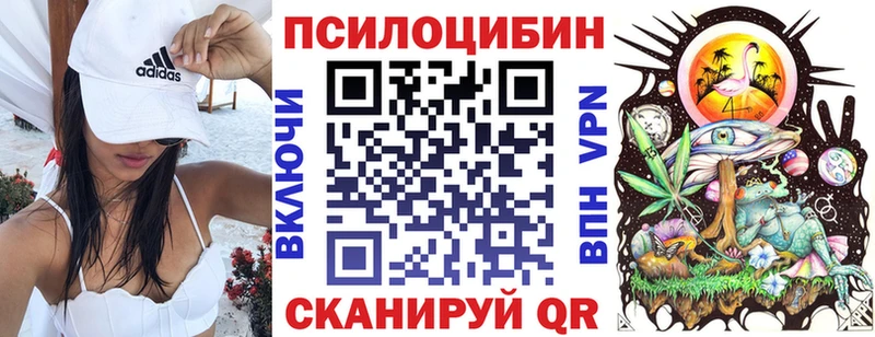 Галлюциногенные грибы Psilocybine cubensis  маркетплейс какой сайт  Балашов 