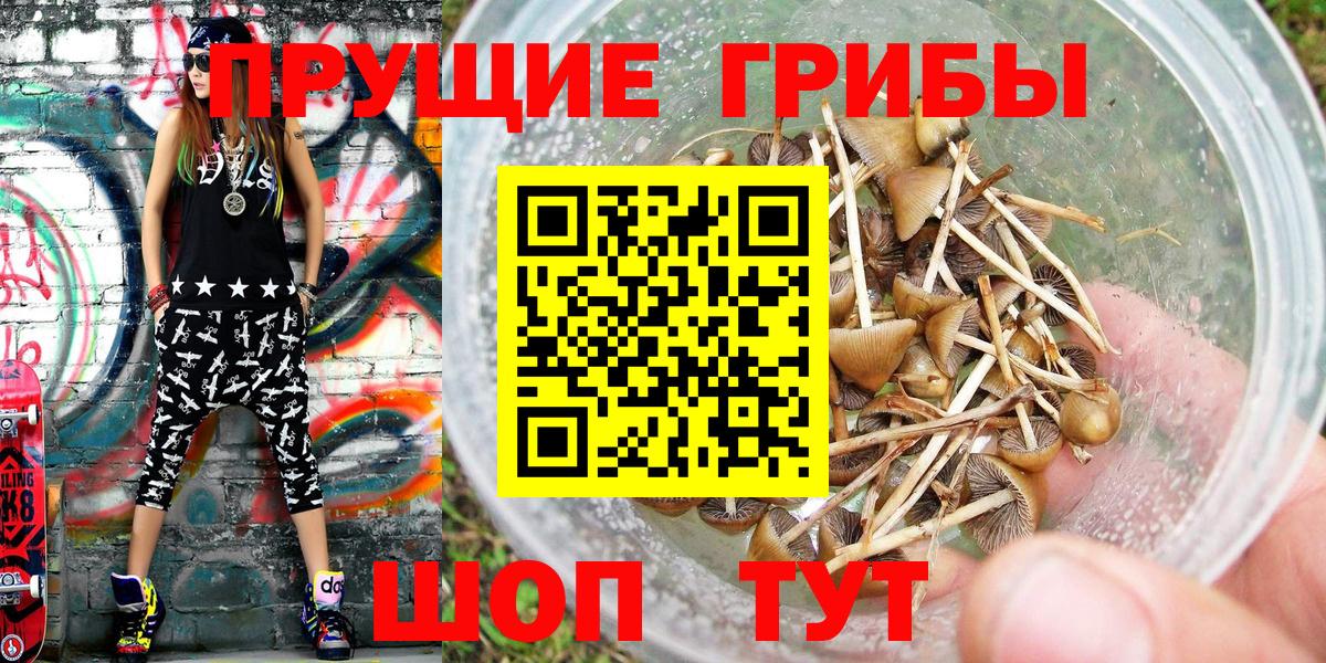Псилоцибиновые грибы Psilocybine cubensis  Галлюциногенные грибы мицелий  Балашов  Вход с VPN 