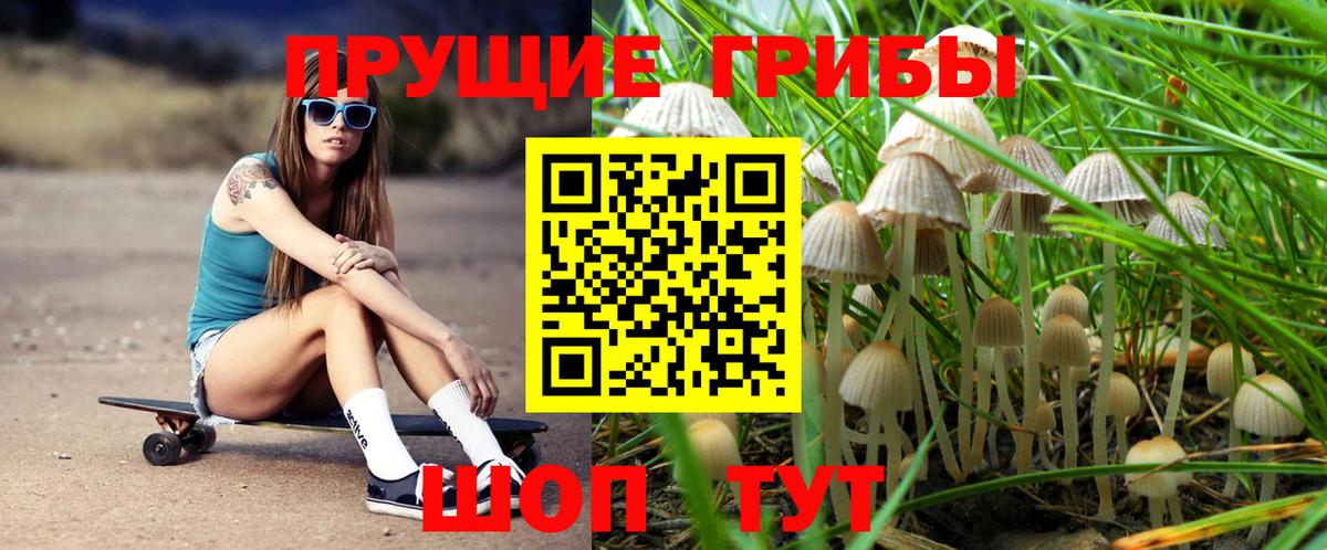 Псилоцибиновые грибы мухоморы Балашов